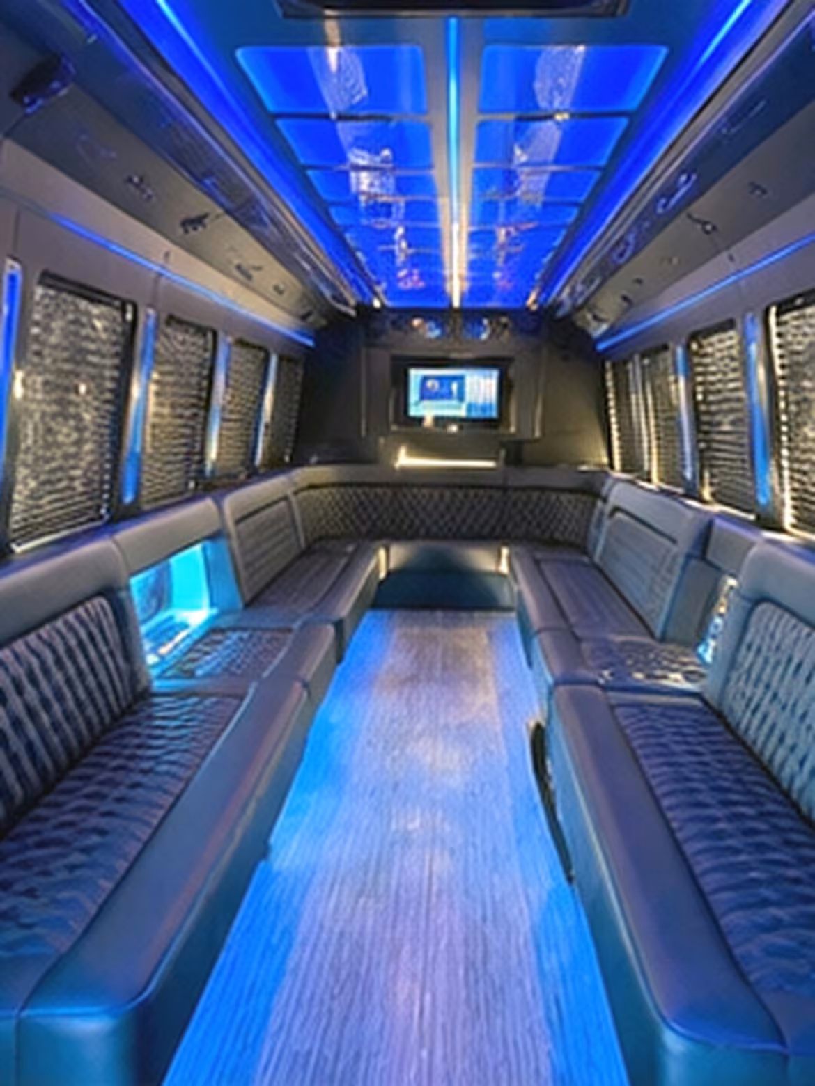 20 passenger party bus inside