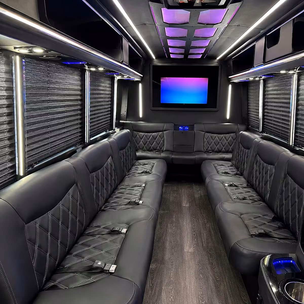 28 passenger party bus inside